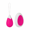 Remote Controll Egg