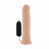 Dr. Throb 9.5 Inch Vibr. Cock