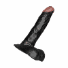 Lee Roy´s Dong