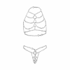 Massiver Kettenbikini