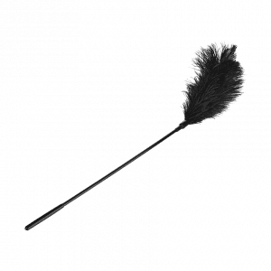 Large Feather Tickler