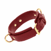 D-Ring Collar Deluxe