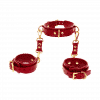 D-Ring Collar and Wrist Cuffs