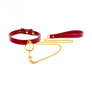 O-Ring Collar and Chain Leash