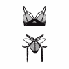 Reizvolles Straps-Set